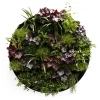 Circular Garden Wall Art - Outdoor Part Sun with mature plants