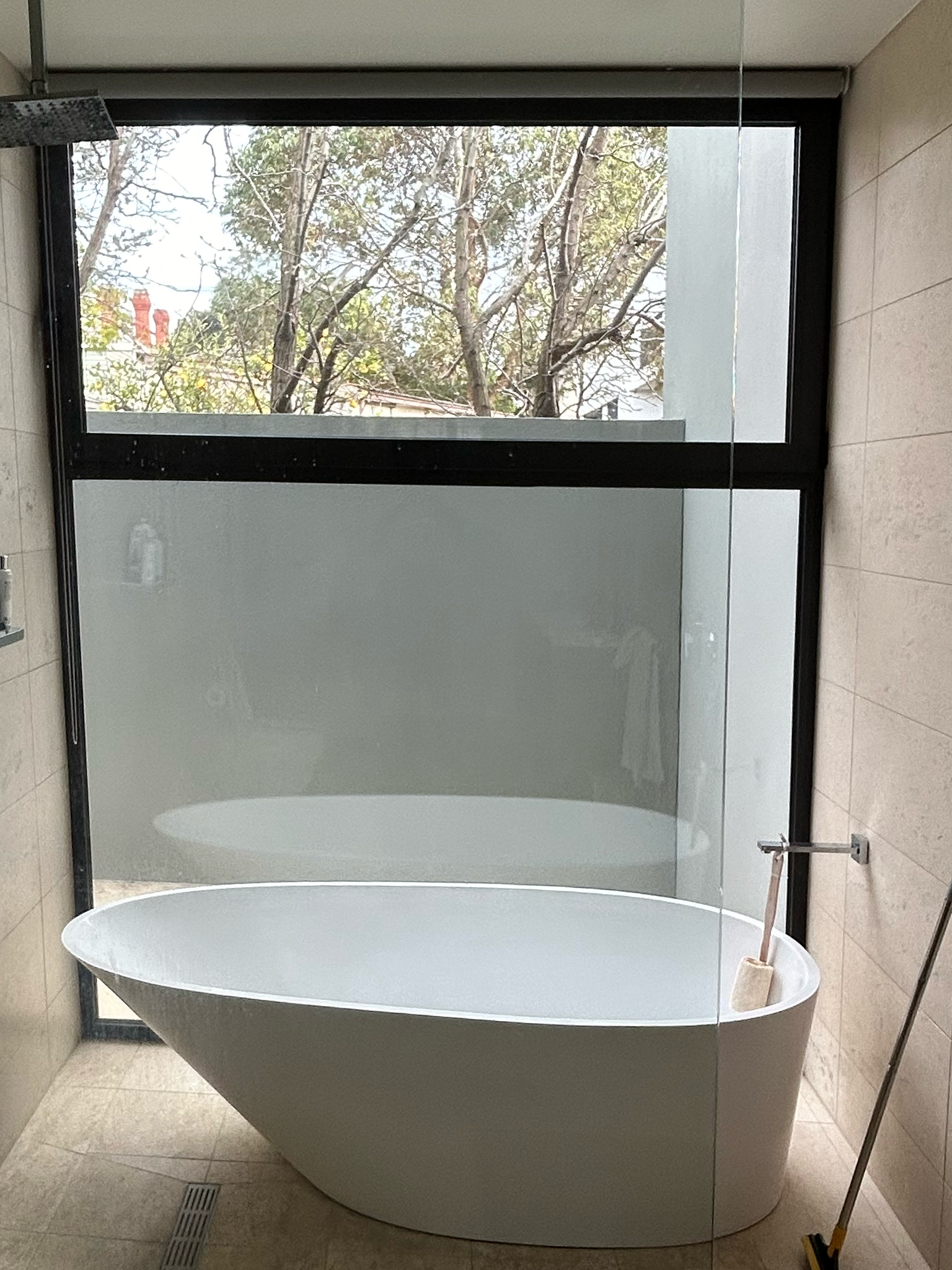 Before image