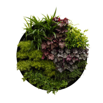 Circle Vertical Garden - Outdoor Full Sun with mature plants