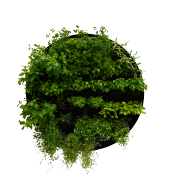 Vertical Garden Round - Outdoor Herbs with mature plants