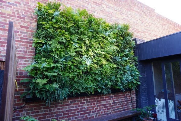 The Future of Farming: Vertical Gardens in Urban Agriculture | VGA