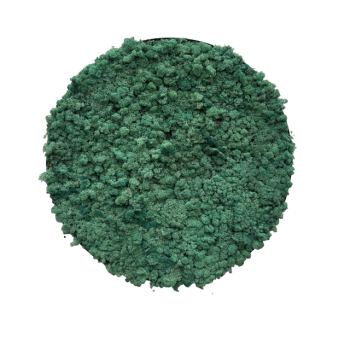 Preserved Moss Wall Panels