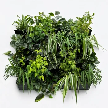 Vertical Gardening Systems - Outdoor Full Sun with mature plants