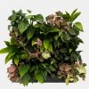 Indoor Vertical Garden Systems with mature plants