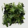 Vertical Wall Garden Kits - Outdoor Part Sun with mature plants