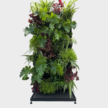 Freestanding Vertical Garden - Outdoor Full Sun  with mature plants
