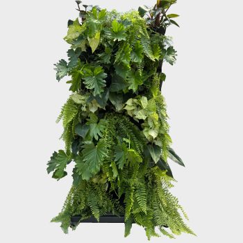 Freestanding Vertical Garden Wall - Outdoor Ferns with mature plants