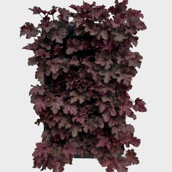 Vertical Aluminium Metal Garden Screen (Dot-Style)