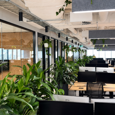 Image for choice number 7